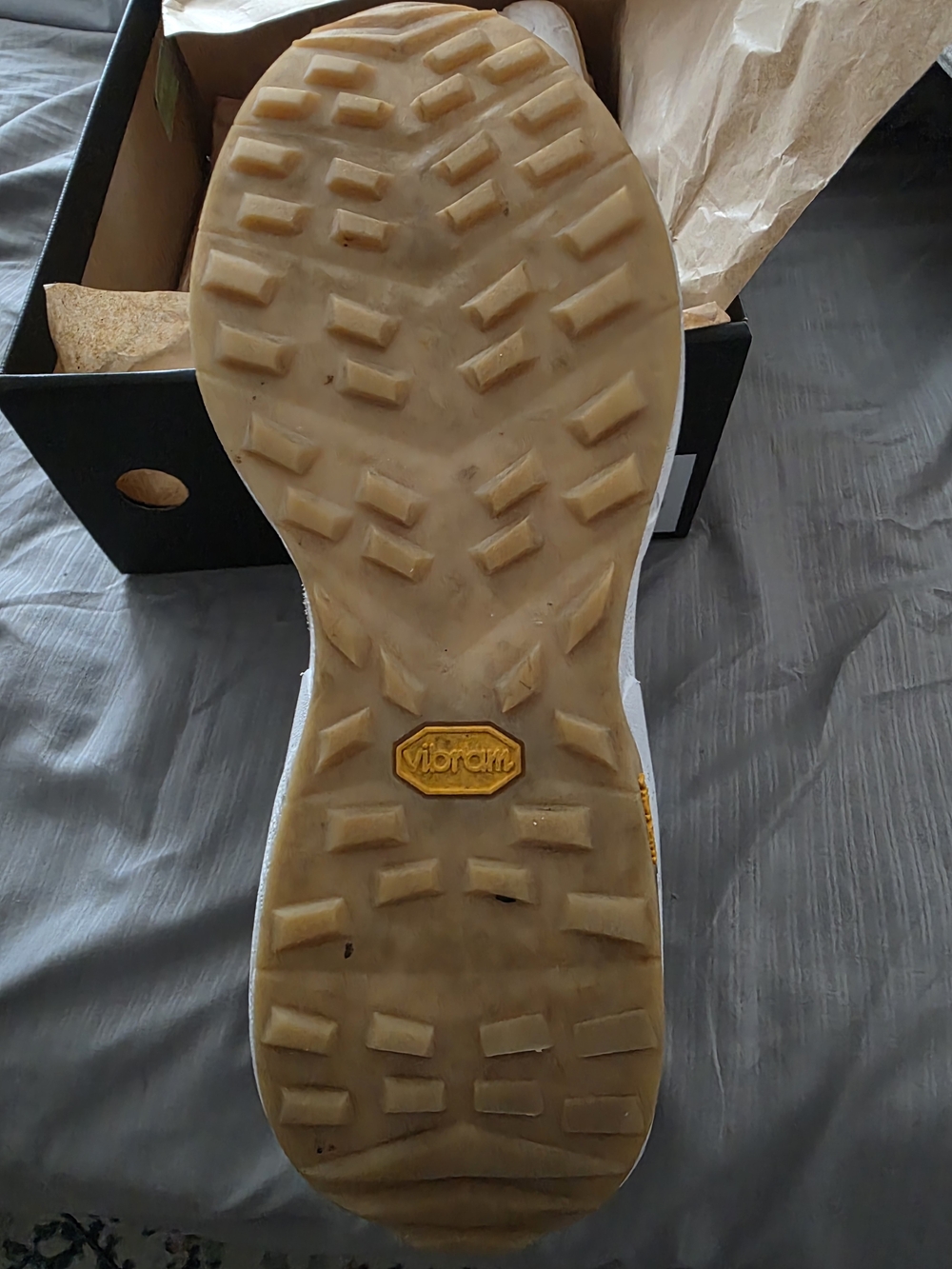 Clae Salazar Men's Low-Top Sneaker - Picture 4 of 5